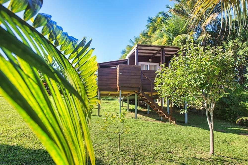 L'Escapade Creole Jacuzzi Privatif Bungalow Ananas Saint-Joseph Exteriör bild